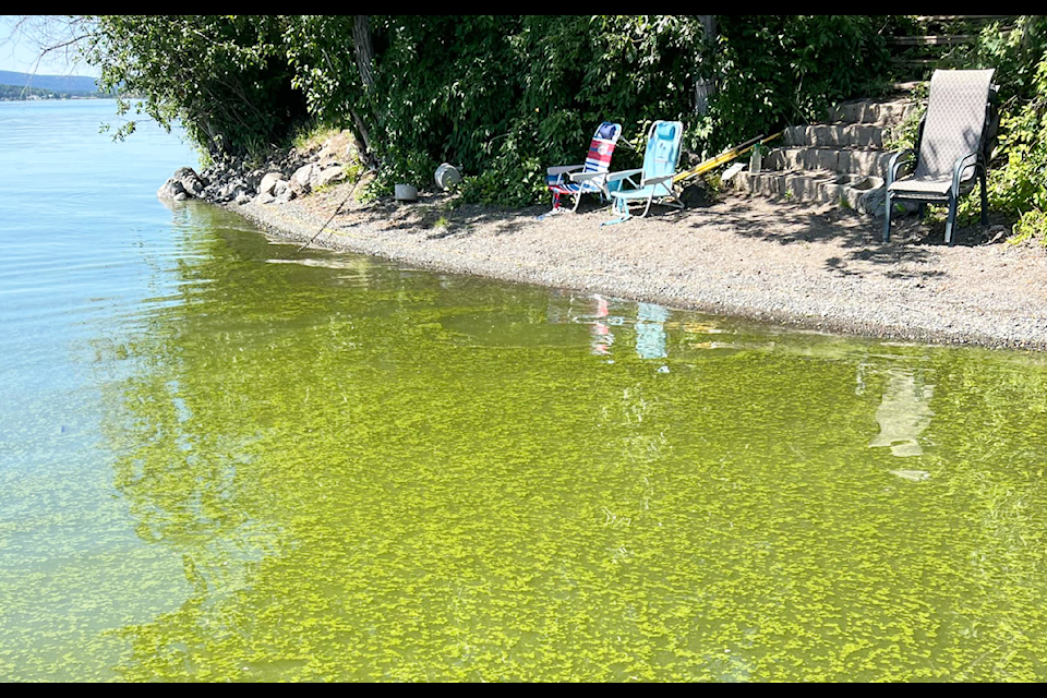 An algae bloom was sighted on Horse Lake on Thursday, Aug. 1. (Lisa Pugh photo)