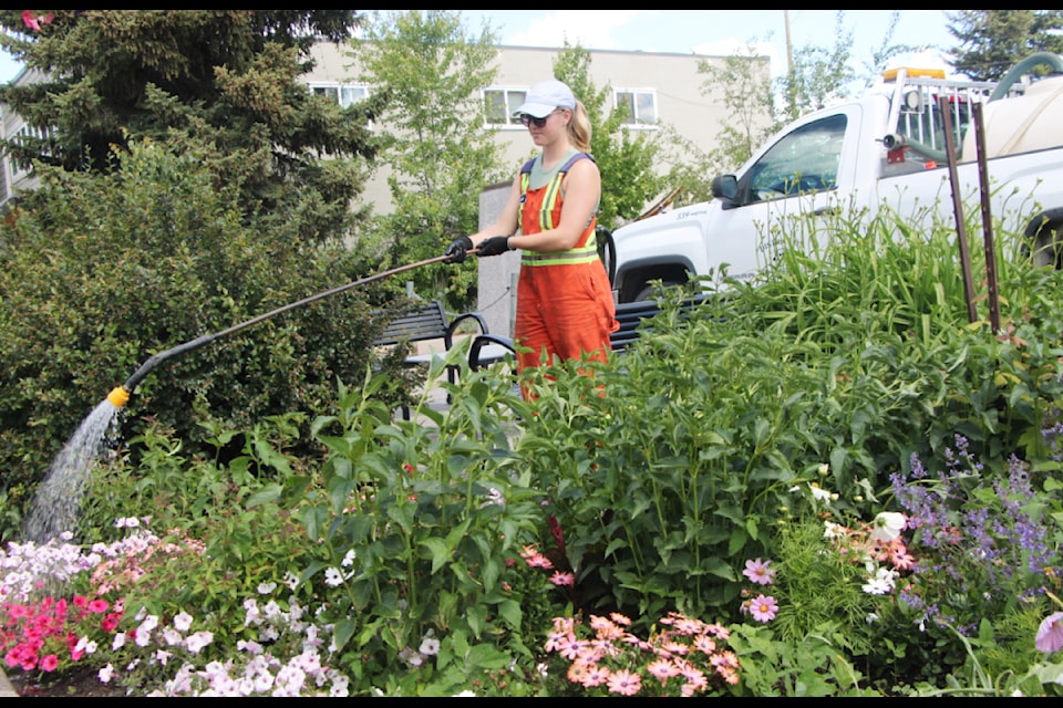 District of 100 Mile House summer student worker Sophie Jensen waters the flower beds outside of the 100 Mile Community Hall last week. (Patrick Davies photo - 100 Mile Free Press)