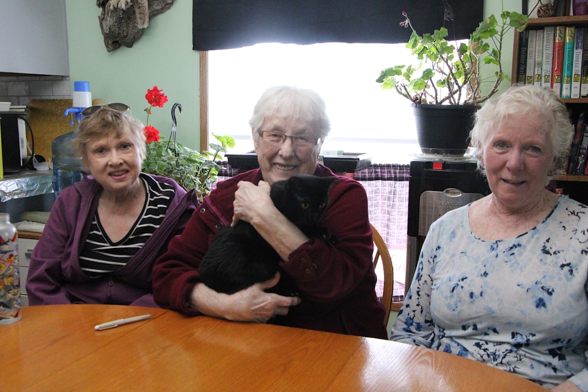 Newly formed Guardian of the Animals aims to help pay for pet health care