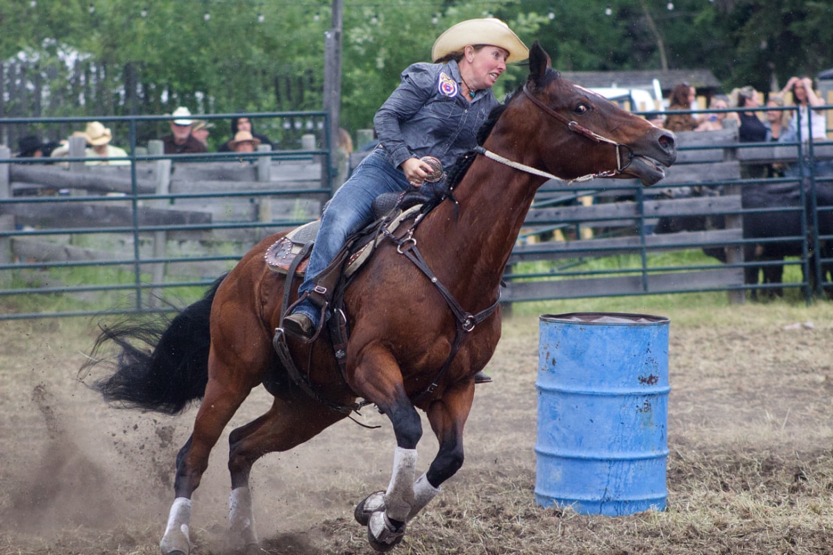 73rd annual Bridge Lake Stampede brought competitors to town