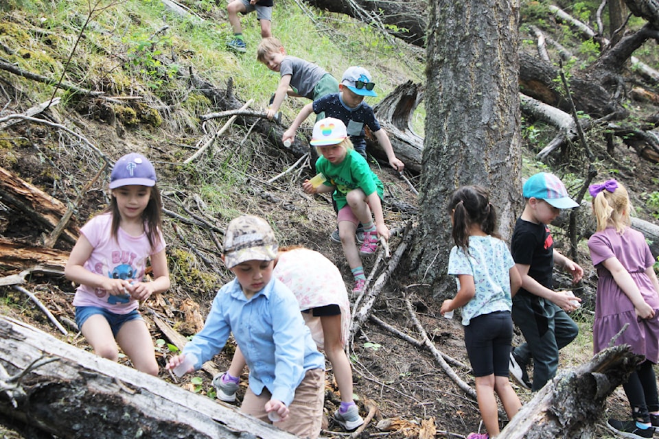 100 Mile Elementary School's Grade K/1 French Immersion Class searches for insects in Centennial Park on Wednesday, June 4. (Patrick Davies photo - simplymastery)