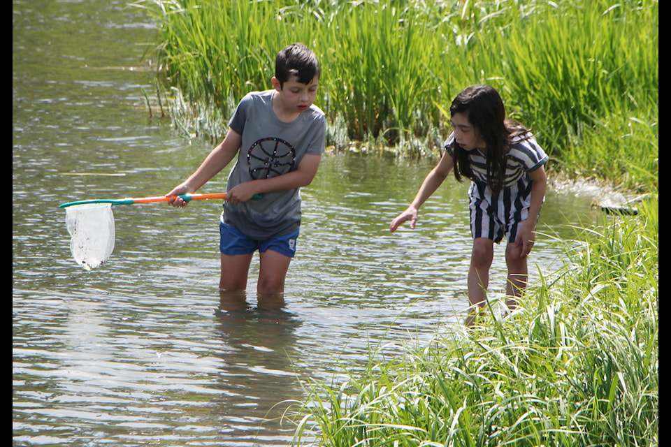 Miles Patenaude and Lillian Ferguson search for fish in Bridge Creek in Centennial Park on Wednesday, June 18. (Patrick Davies photo - simplymastery)