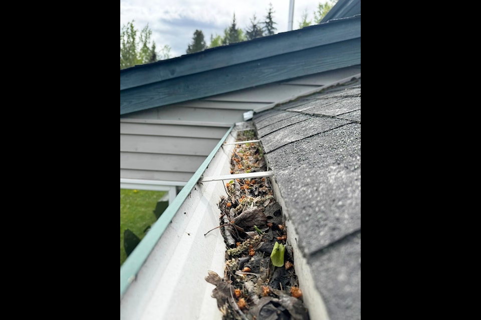 An example of the debris that can clog a gutter without a gutter guard. (Pro Image Gutters Interior Division  photo)