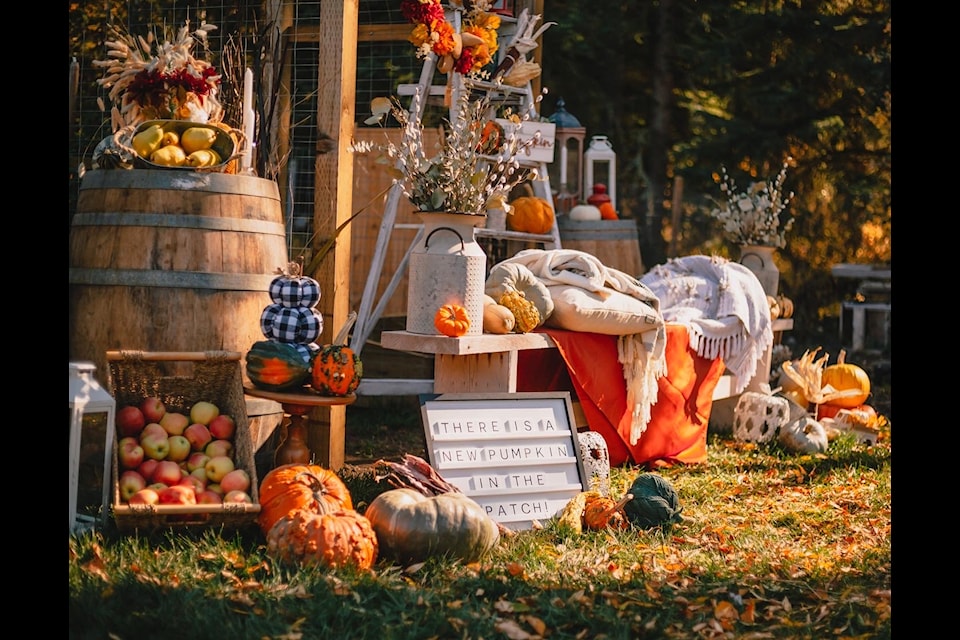 A setup for a photoshoot by Folk n Flower Co. (Photo submitted - Folk n Flower Co.) 