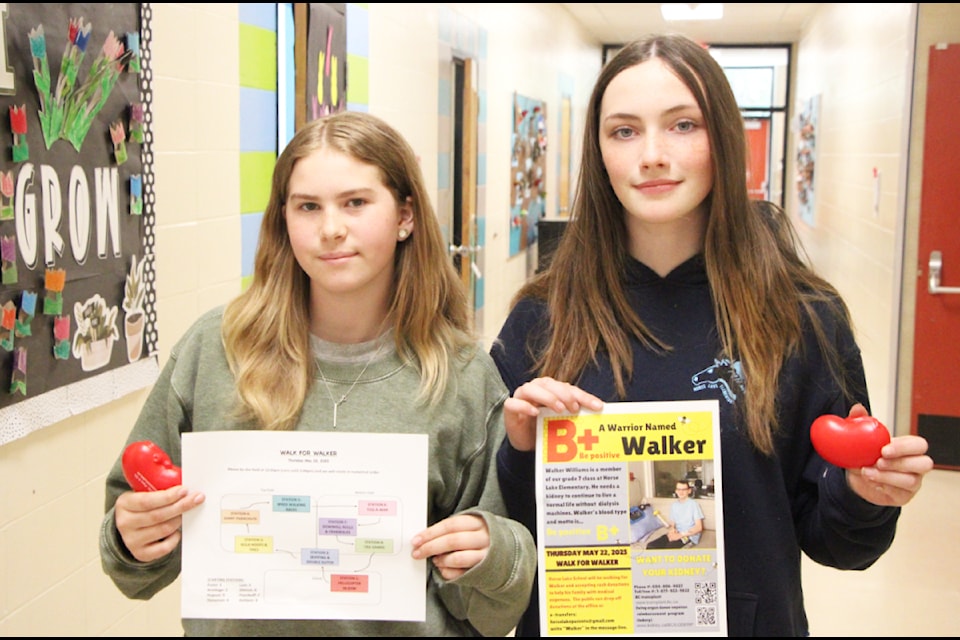 Cali Bishop and Arianna Bracey are two students at Horse Lake Elementary School looking to raise money for their classmate Walker Williams, who is currently dealing with kidney failure and needs a transplant. (Patrick Davies photo - simplymastery)