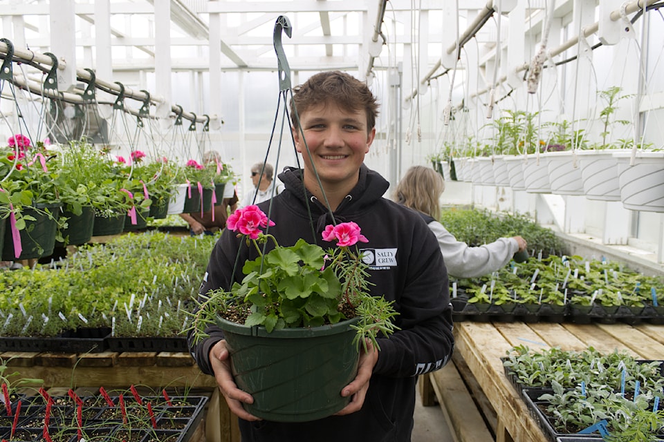 Harry Findlay, a Grade 12 PSO student, holds up a germanium plant during the PSO Plant Sale on May 10. (Misha Mustaqeem photo - simplymastery)