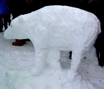Polar Bear by Sandy & Genevieve Amy
