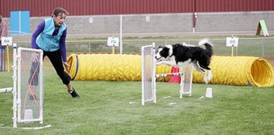 6448100milewebAgilityDogs009