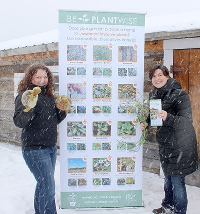 79166100mileNEWInvasivePlants