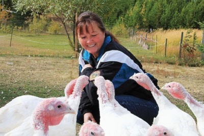 87654100mileWEB_turkeys03