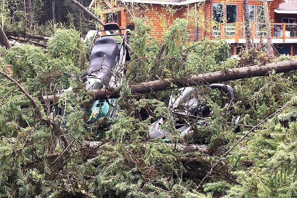 web1_170526-OMH-M-Snowmobiles-in-trees