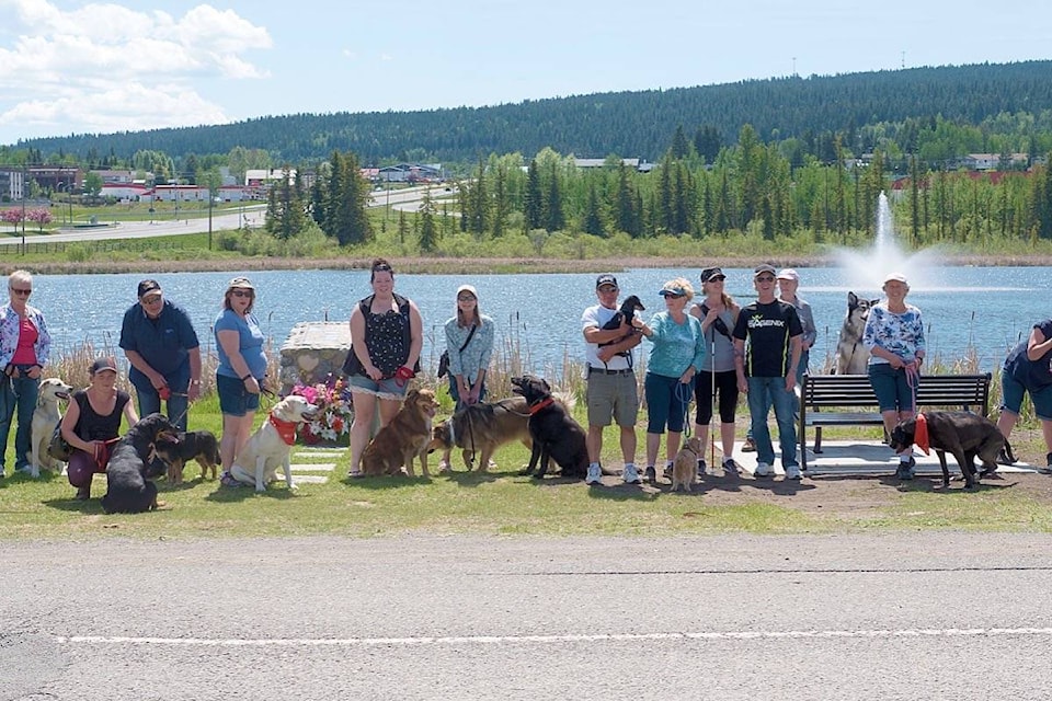 web1_170531-OMH-M-170601-OMH-dogwalk_1