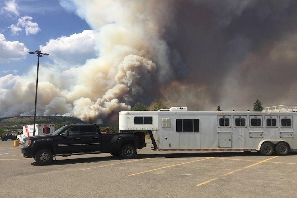 8138255_web1_170816-OMH-M-More-smoke-horse-trailers_03