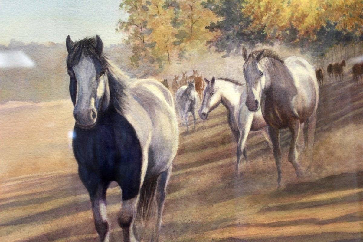 8554423_web1_170918-OMH-M-horses2