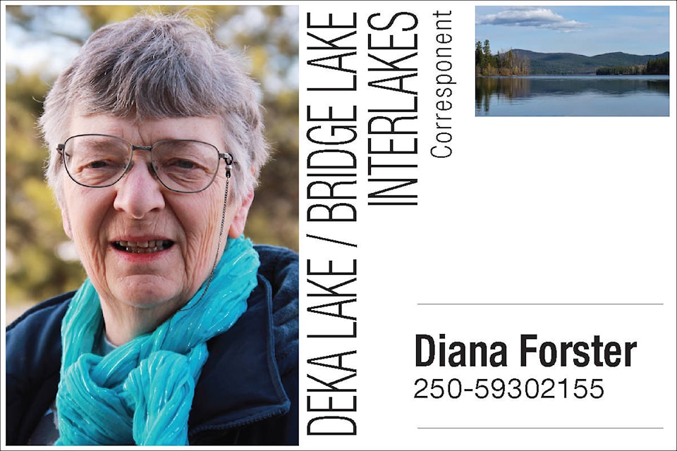 12145454_web1_Diana-Forster-4-web