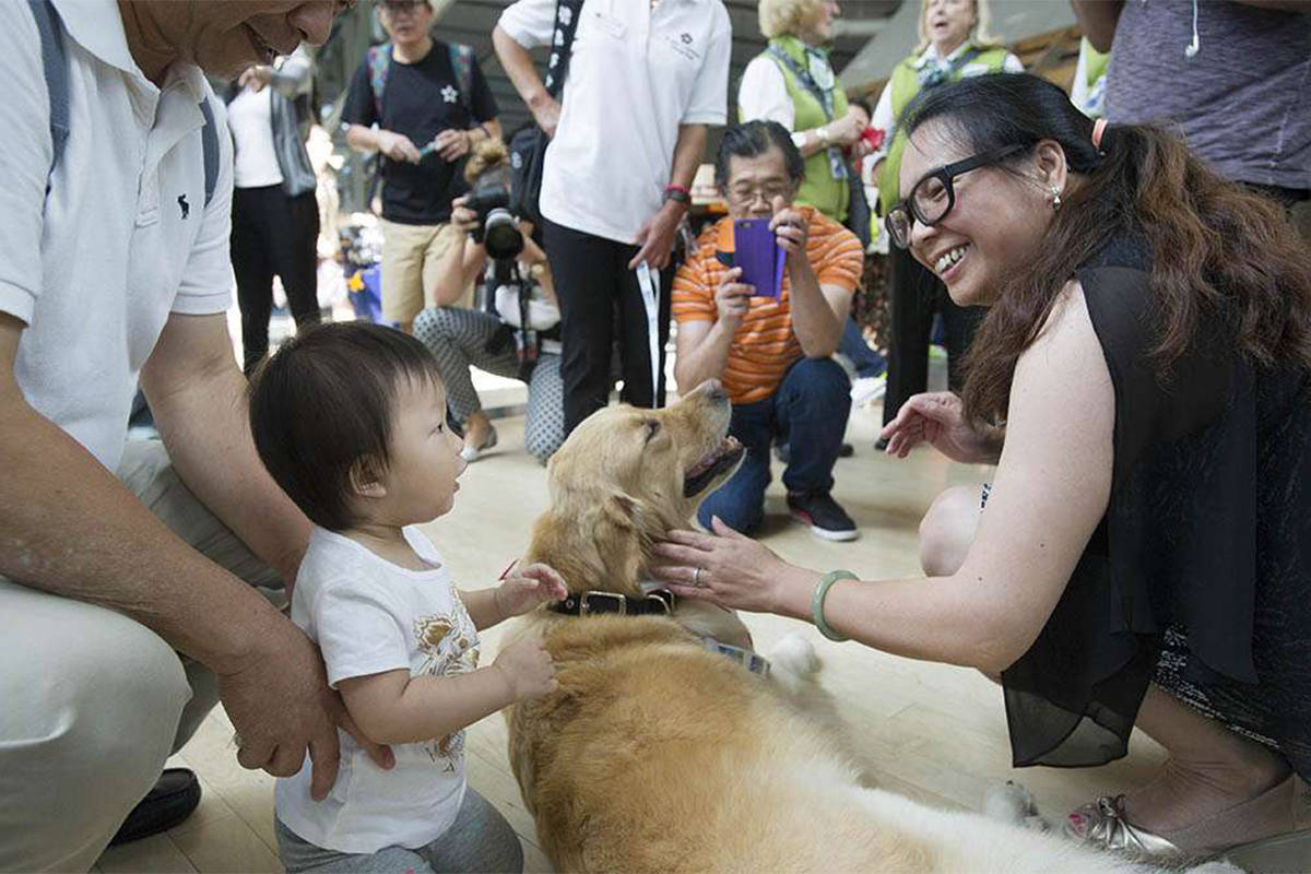 13022534_web1_180809-OMH-therapydogs6