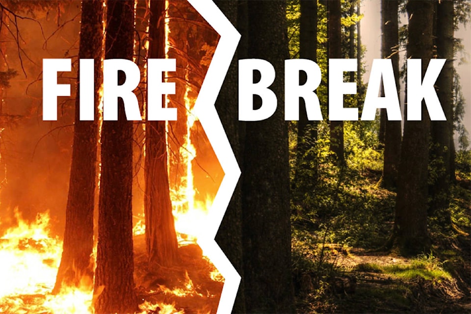 15773390_web1_copy_190307-omh-firebreak_2