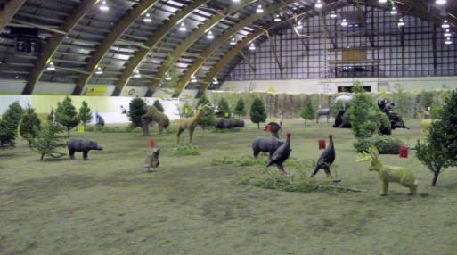 16004524_web1_190321-OMH-Archery04