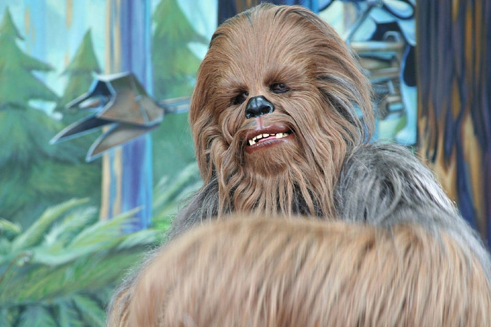 16687943_web1_190503-GNG-MayFourthChewbacca_1