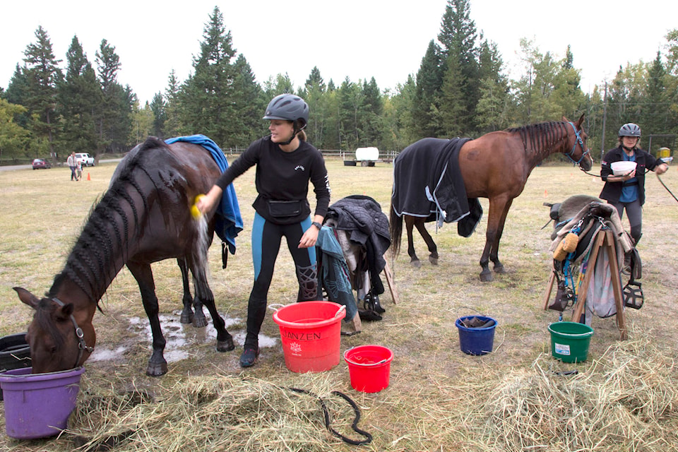 Jaylene Janzen left, cools down her horse Rae, while her mother Christy feeds her horse Bronx, after completing a 20-kilometre loop as part of the Titanium Gold Endurance race last weekend. (Kelly Sinoski photo, 100 Mile Free Press)
