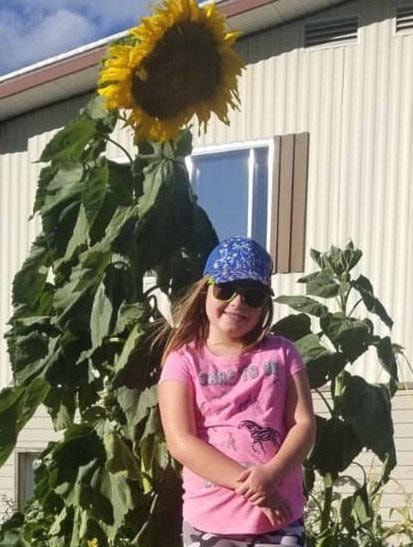 Rayla Annett wins in the tall sunflower category in Community in Bloom contest. (Photo submitted).