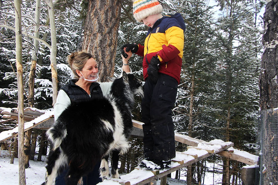 Krysta Stewart holds Tucker Hamilton’s hand as she guides him down a climbing platform belonging to her goats including Dexter the goat. (Patrick Davies photo - 100 Mile Free Press)