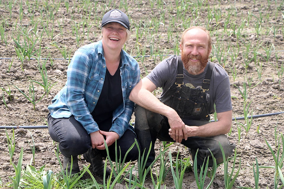 Robin Hunt and Johan Bos of Big Rock Ranch are excited to be expanding their growing capacity in their bid to provide the South Cariboo with sustainably and organically grown food. (Patrick Davies photo - 100 Mile Free Press)