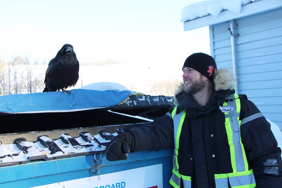 Buddy the Raven and Chadwick Everett pose together for a picture at the Lac La Hache Transfer Station. (Patrick Davies photo - 100 Mile Free Press)
