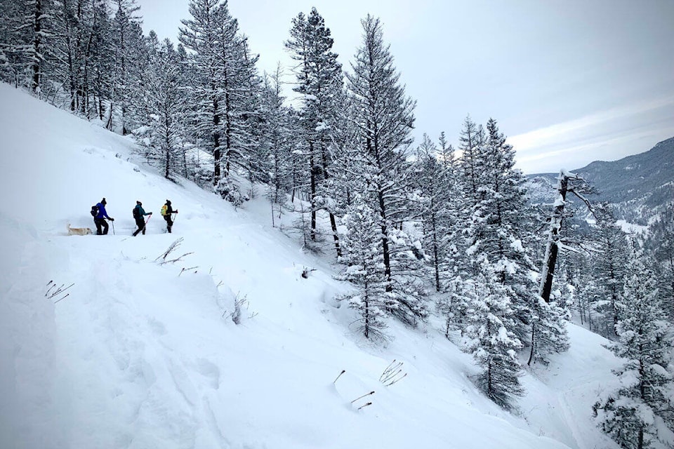 27771117_web1_220113-WLT-SnowSafety-avalanche-backcountry_1