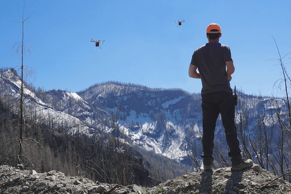 Drones were used to drop seed vessels in November 2021 in an area burned during the 2017 wildfires in the Chilcotin Plateau. (Central Chilcotin Rehabilitation photo)