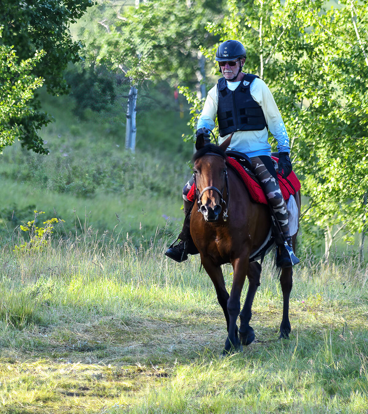 Cariboo Gold Rush Endurance Ride tests equestrian's mettle - 100