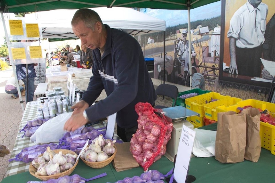 Ian Richardson of Rocky Ridge Farm participated in the Garlic Festival earlier this month at the South Cariboo Farmers’ Market after the South Cariboo Garlic Festival was cancelled due to COVID-19. (Kelly Sinoski/100 Mile Free Press)