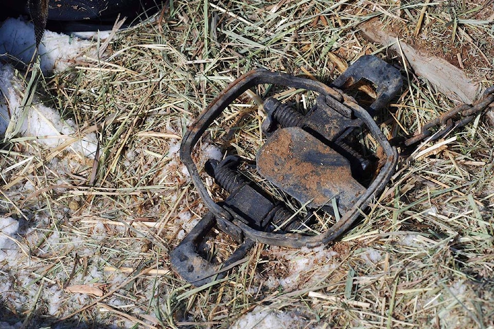 32506110_web1_230423-CPW-Pets-Caught-in-Traps_2