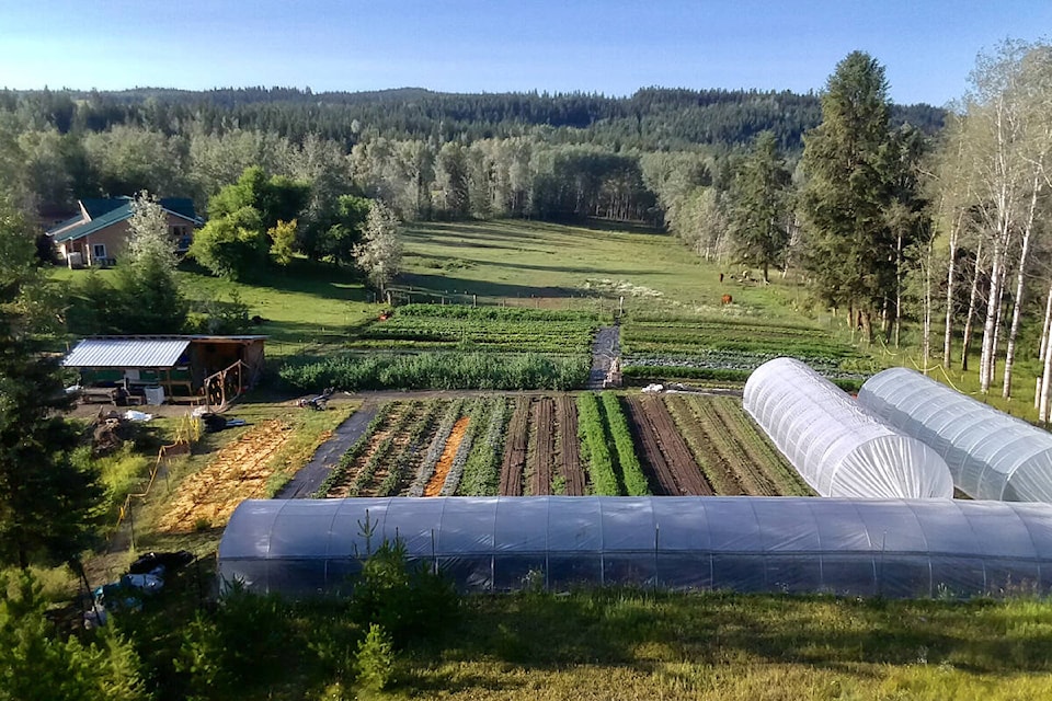 32694718_web1_230518-OMH-gardening-Robin-Robin-Hunt-Big-Rock-Ranch_2