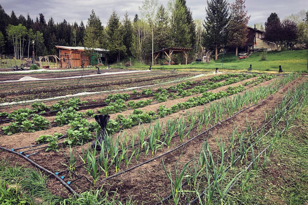 32694718_web1_230518-OMH-gardening-Robin-Robin-Hunt-Big-Rock-Ranch_3