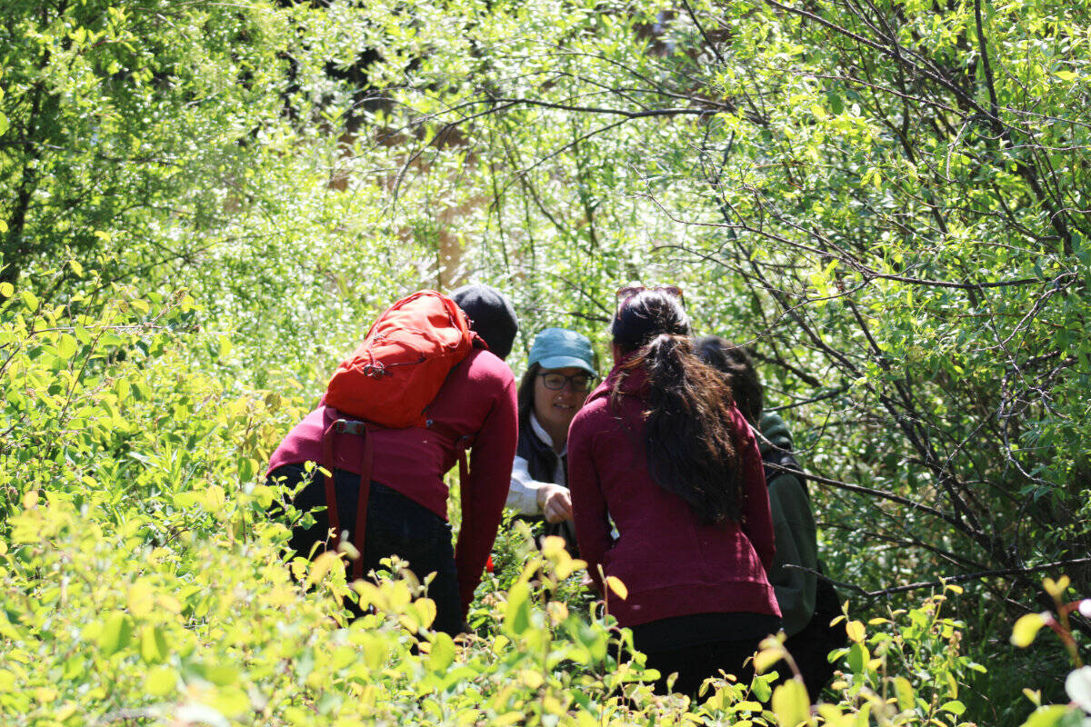 32945787_web1_230608-OMH-Bird-Walk-_6