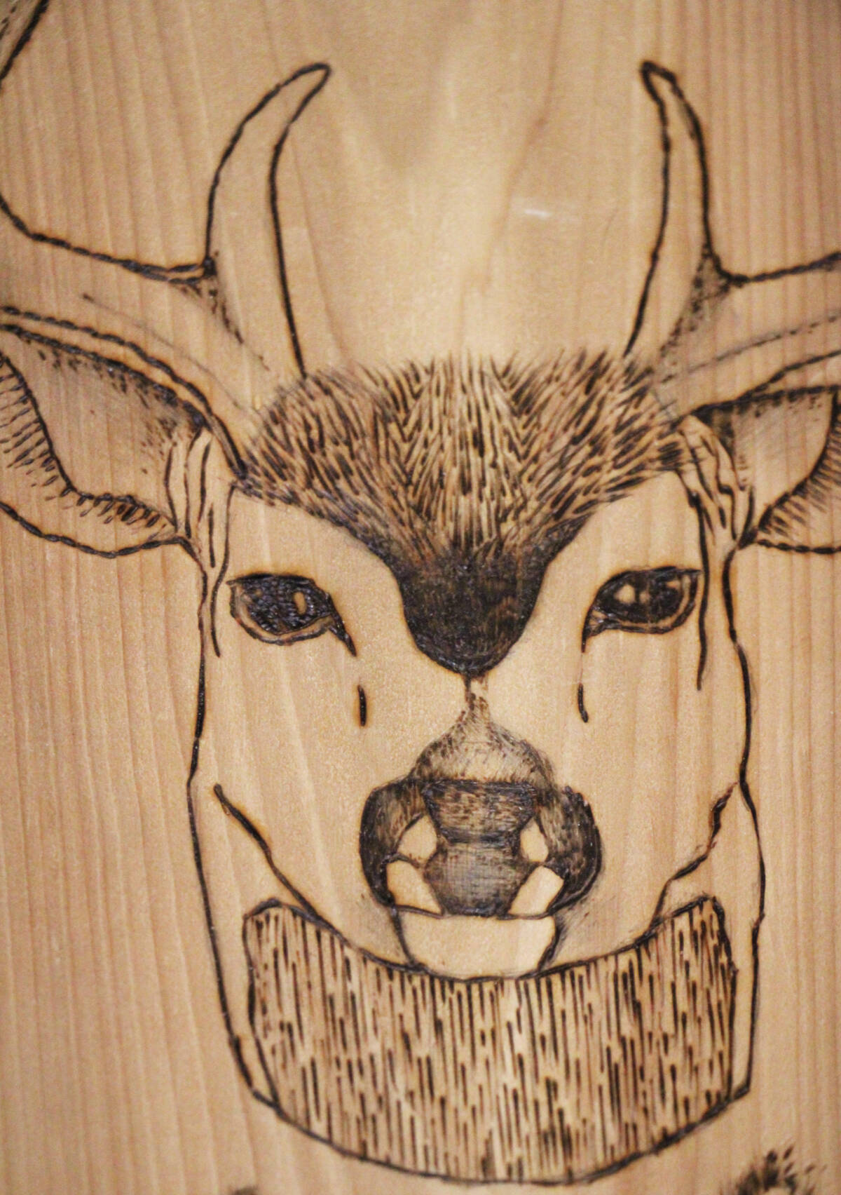 32970800_web1_230615-OMH-Wood-Burner_3