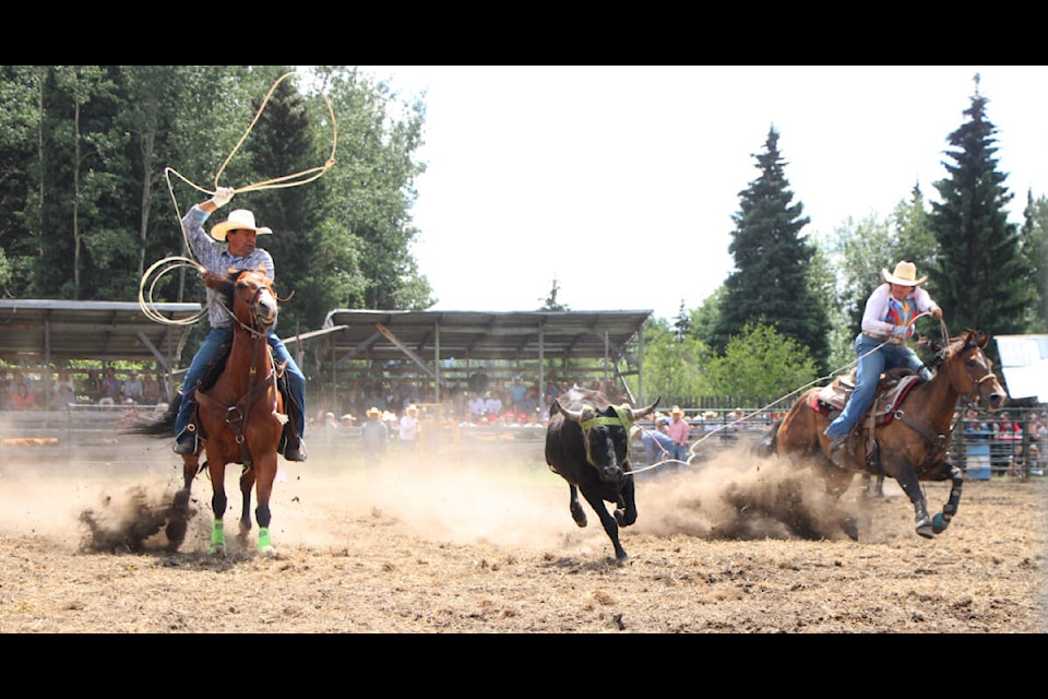 Neil Antoine and Gracy Antoine work together to rope a steer while competing in team roping at the Bridge Lake Stampede. (Patrick Davies photo - 100 Mile Free Press)