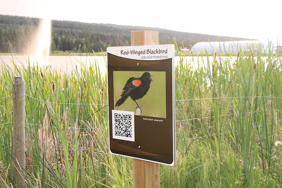 33648333_web1_210819-OMH-Tourism-Centre-Marsh-Project-_2