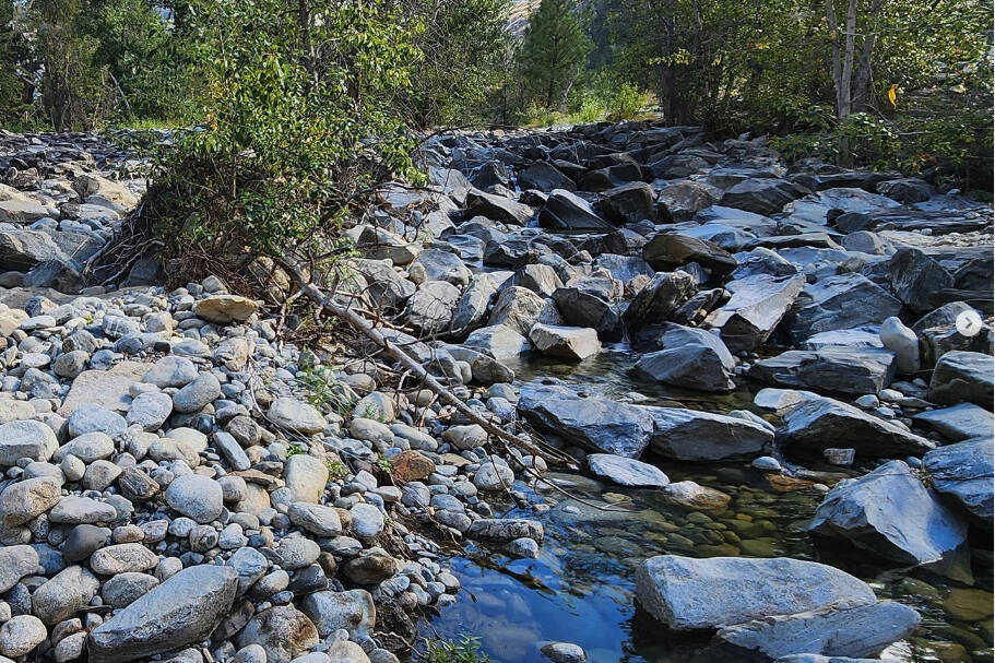 Stranded fish due to low creeks turns up some B.C. water restrictions - 100  Mile Free Press