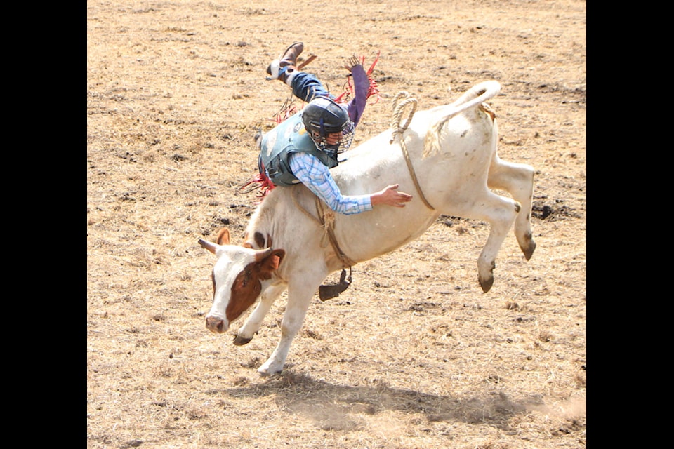 Deegan Styran is throw off the back of his steer at the Bridge Lake Stampede. (Patrick Davies photo - simplymastery)