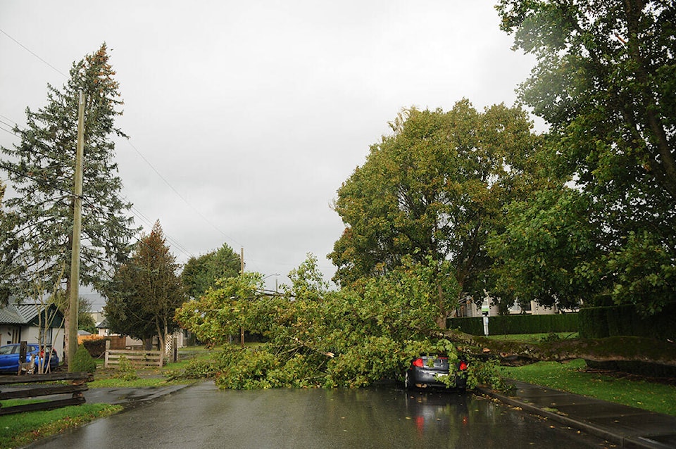 33999134_web1_201013-CPL-RVHitByTreePUSH_1