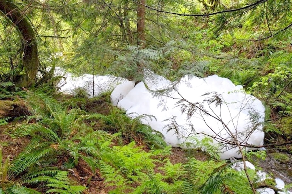 foam-in-clayburn-creek