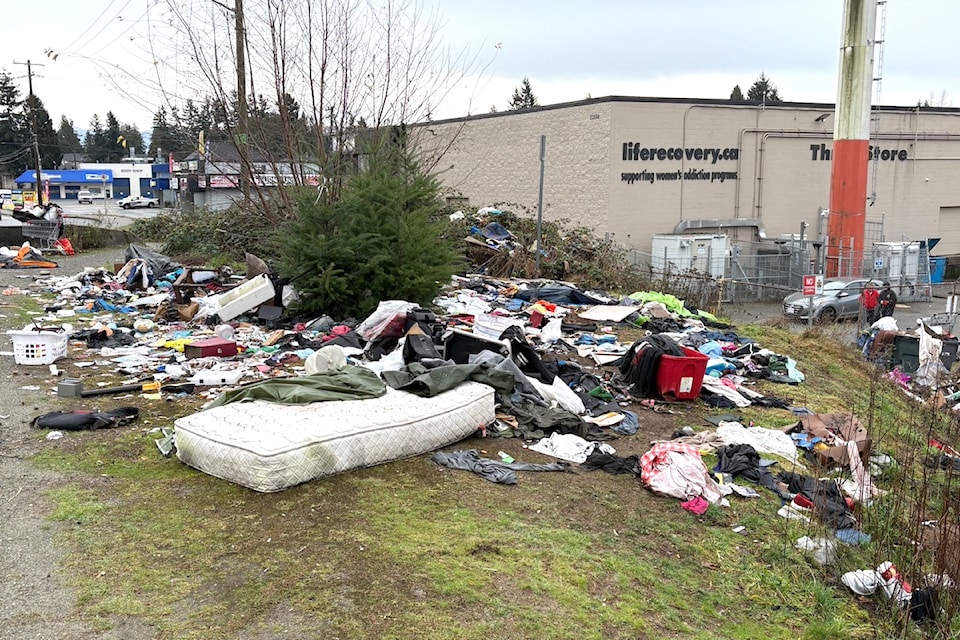 A group with the Business Engagement and Ambassadorship Program cleaned up the Peardonville encampment on Sunday (Dec. 22). This is the before picture. 