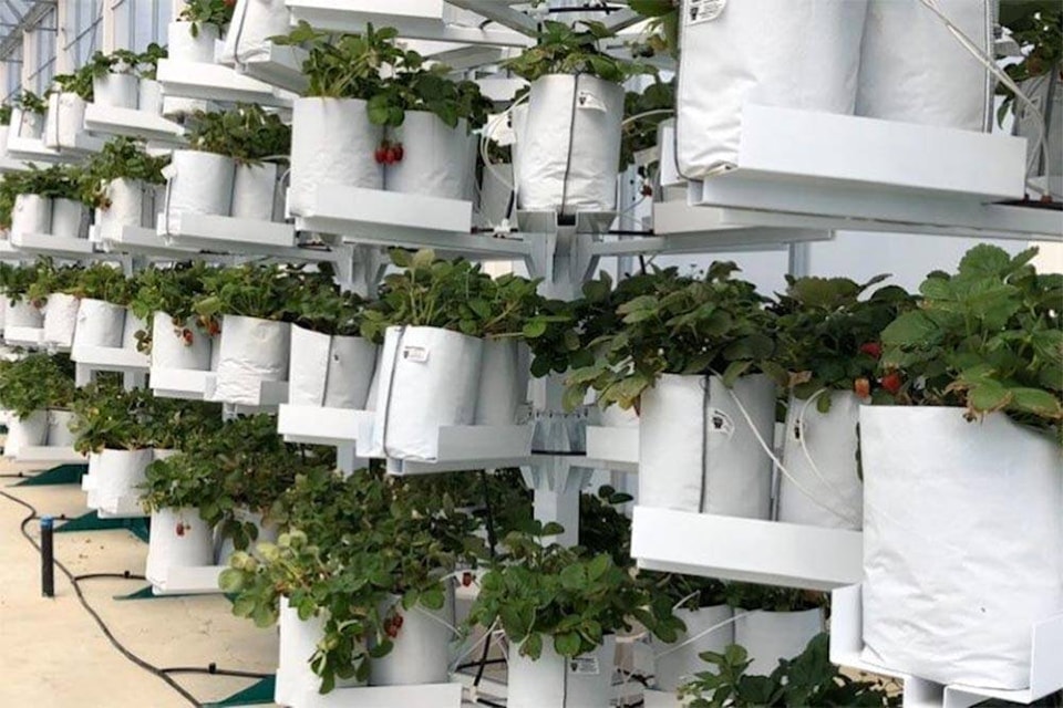 27978302_web1_220128-abb-securitiescommission-plants_1