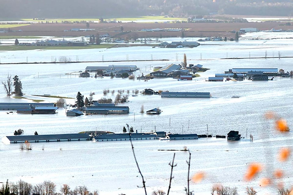 sumas-prairie-flood