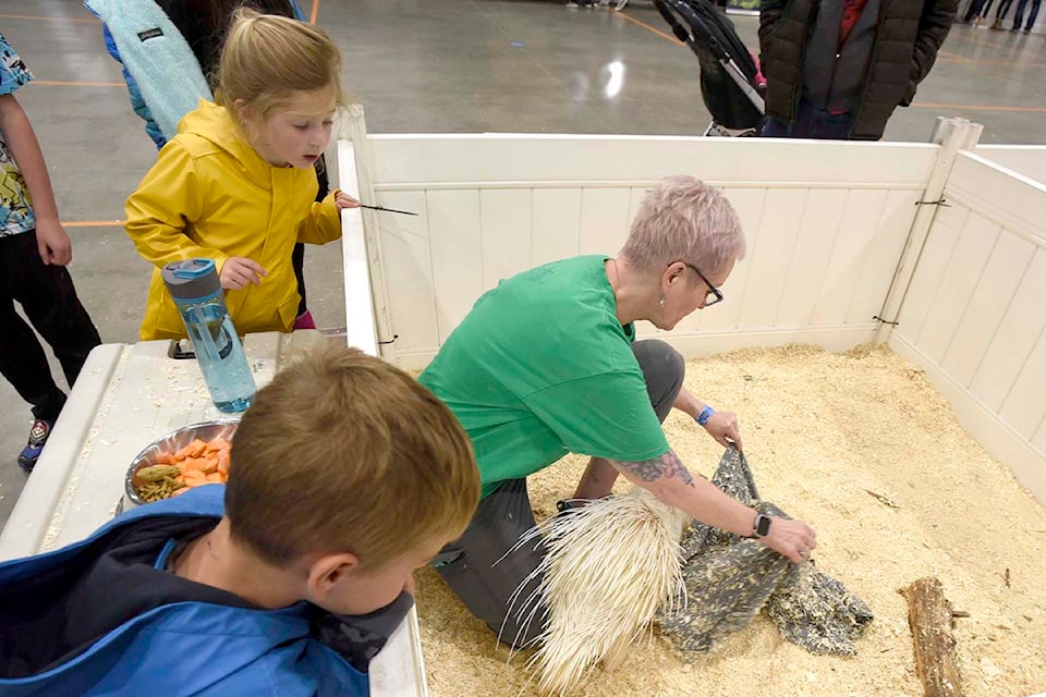 The Wildlife Festival debuted at the Ag-Rec Building in Abbotsford from June 14 to 16. The event included stage shows, educational displays and up-close encounters with animals. 