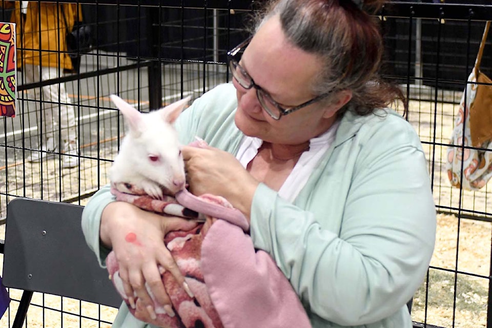 The Wildlife Festival debuted at the Ag-Rec Building in Abbotsford from June 14 to 16. The event included stage shows, educational displays and up-close encounters with animals. 