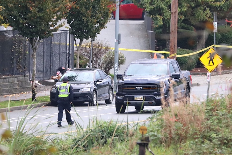 A pedestrian died Tuesday morning (Oct. 8) in Abbotsford after being struck by a pickup truck on Gladys Avenue. 