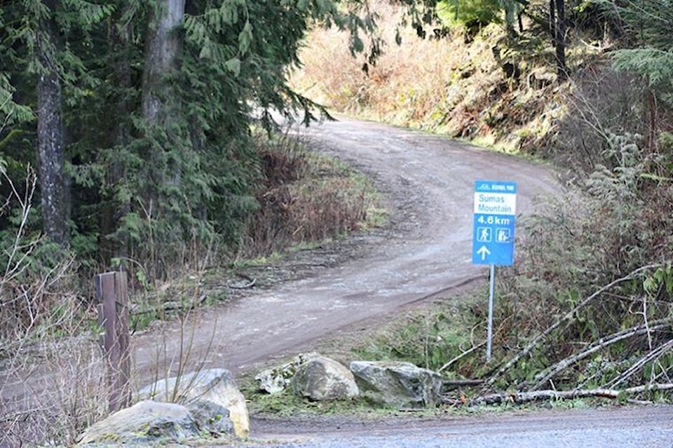 sumas-mountain-regional-park